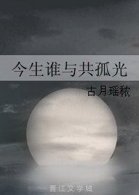 今生谁与共孤光